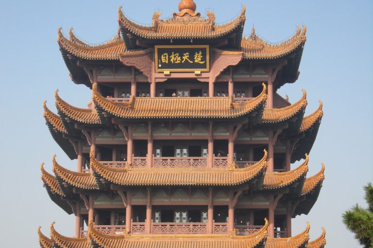 Novel Virus Emerges in China, Hits Global Markets