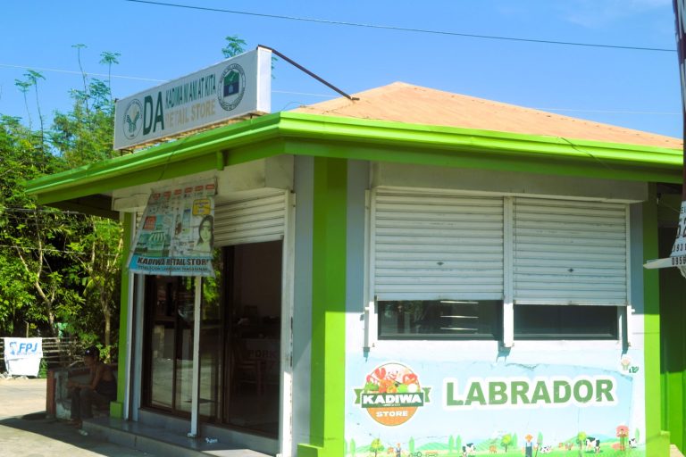 Philippines Launches Online Market for Fresh Food Delivery Nationwide