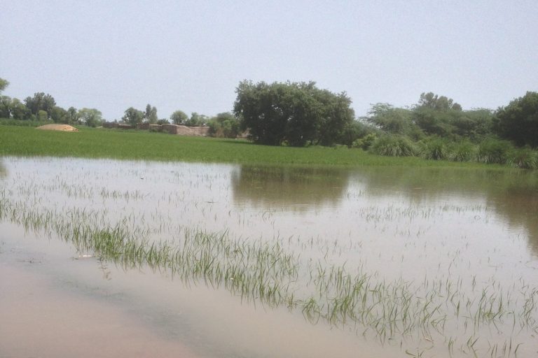 Pakistan Floods Kill 36, Injure 50 in Heavy Rains