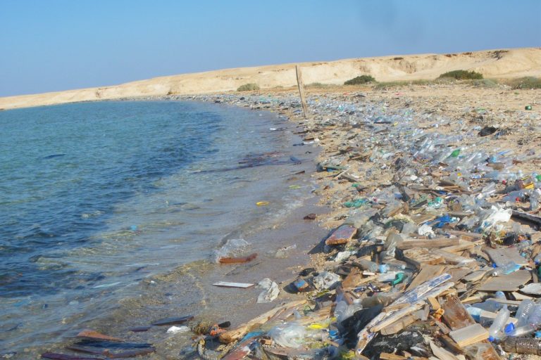 Plastic Waste Overwhelms Southeast Asian Beaches and Recycling Systems