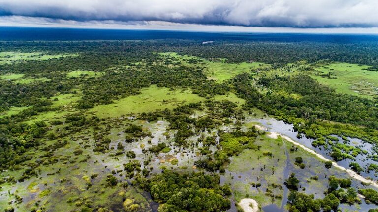 Indonesia Launches Carbon Market Amid Doubts Over Offset Credibility