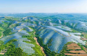 Brunei Eyes Regional Leadership in Blue Carbon Credits