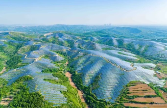 Brunei Eyes Regional Leadership in Blue Carbon Credits