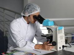 Cambridge Lab-Grown Human Model Shows Spinal Nerve Fibers Regenerating Cambridge Lab-Grown Human Model Shows Spinal Nerve Fibers Regenerating