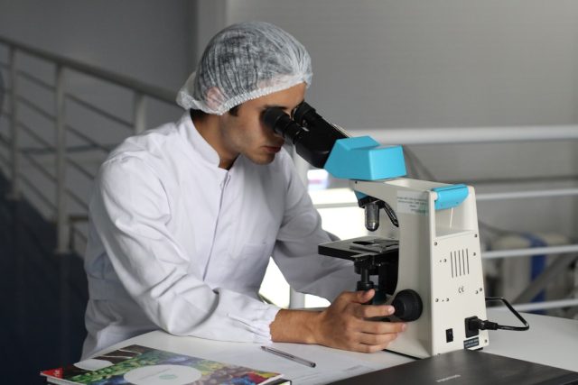 Cambridge Lab-Grown Human Model Shows Spinal Nerve Fibers Regenerating