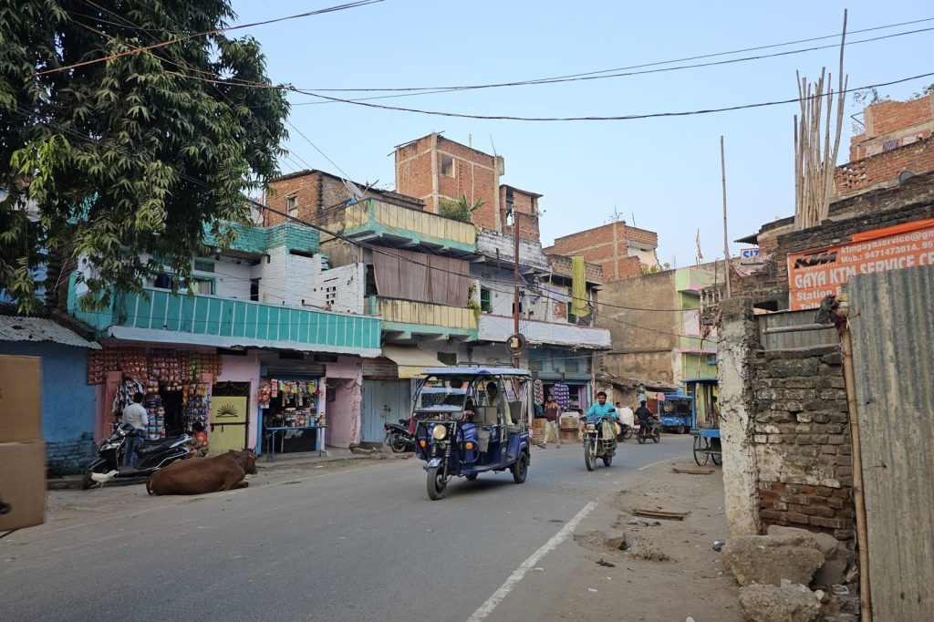 Data and Figures: Wedding Costs and Food Expenditure in Rural Bihar