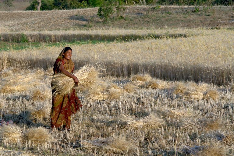 Market and Economic Impact of Domestic Violence in India: Lost