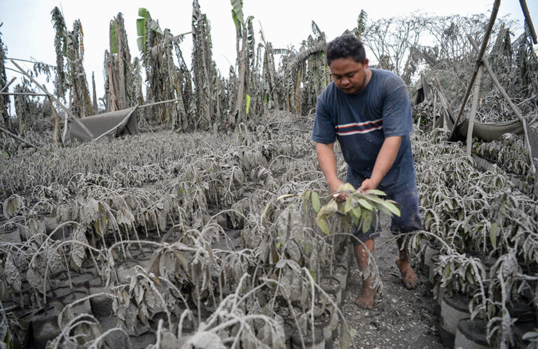 Volcano eruption won’t hit Philippines GDP, says Economist
