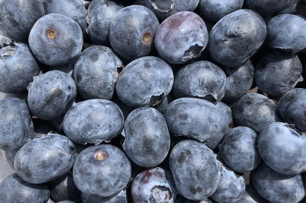 Driscolls Expands Proprietary Blueberry Varieties To Chinese Growers