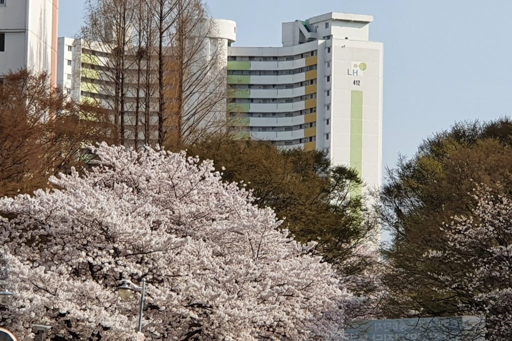 South Korea to Offer 20,000 Homes at 75 Cents a Day for Young Adults
