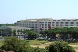 FAO Dialogue Launches Green Agriculture Stocktaking Report Across Five Regions