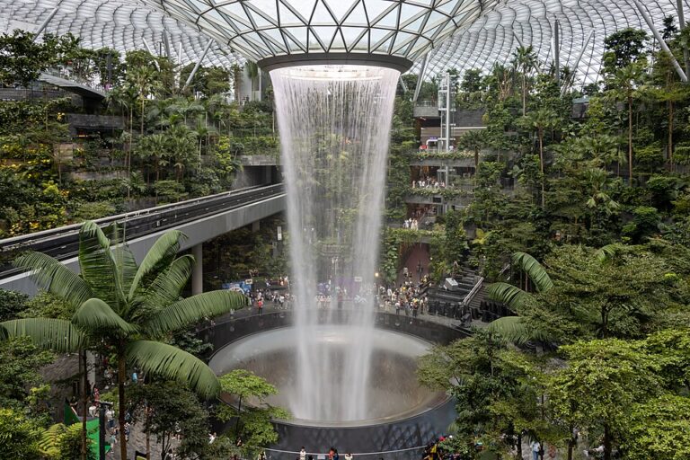 India’s Travel Ban on Singapore Hits Tourism Sector Hard