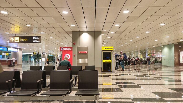 India Adds Singapore to Coronavirus Travel Ban List Suddenly