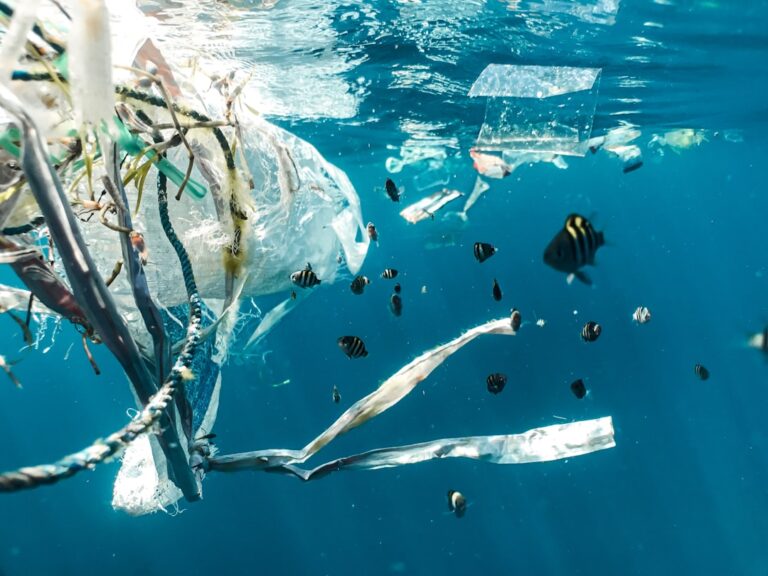 Thailand Bans Single-Use Plastic Bags At Major Retailers Nationwide Suddenly