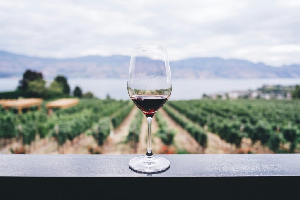 How Ancient Traditions and Modern Makers Built China's Emerging Wine Industry