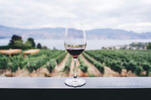 How Ancient Traditions and Modern Makers Built China’s Emerging Wine Industry