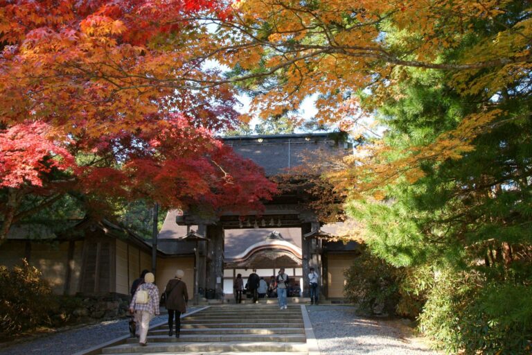 Fukuda Doctrine Endures as Blueprint for Sino-Japanese Trust Despite Territorial Tensions