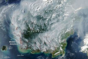 ASEAN Haze Agreement Faces Enforcement Gaps Despite Legal Framework